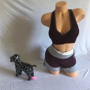 NWT L VS PINK set